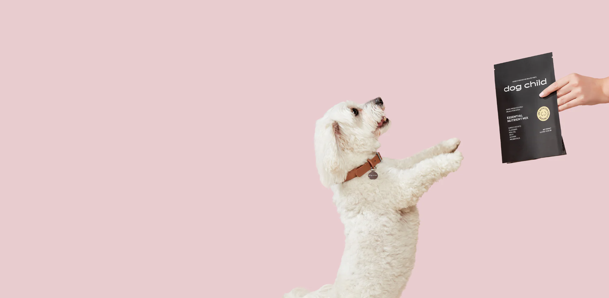 Cook the Best for Your Dog